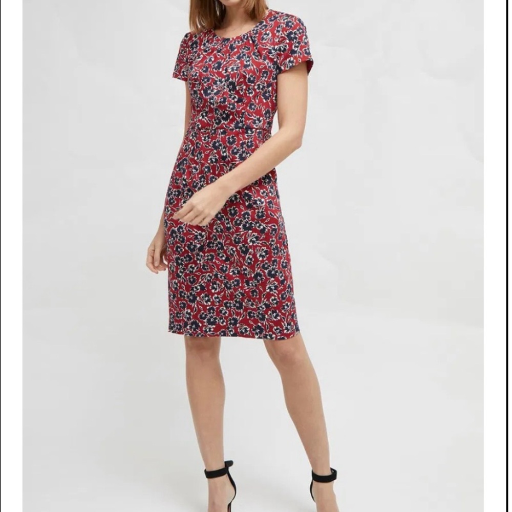 French Connection Alletea Cotton Fitted Dress - Size US8 - NWT!